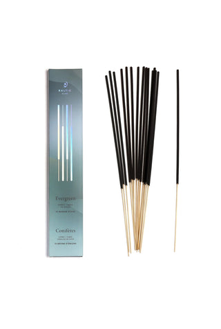 Incense Sticks | Evergreen