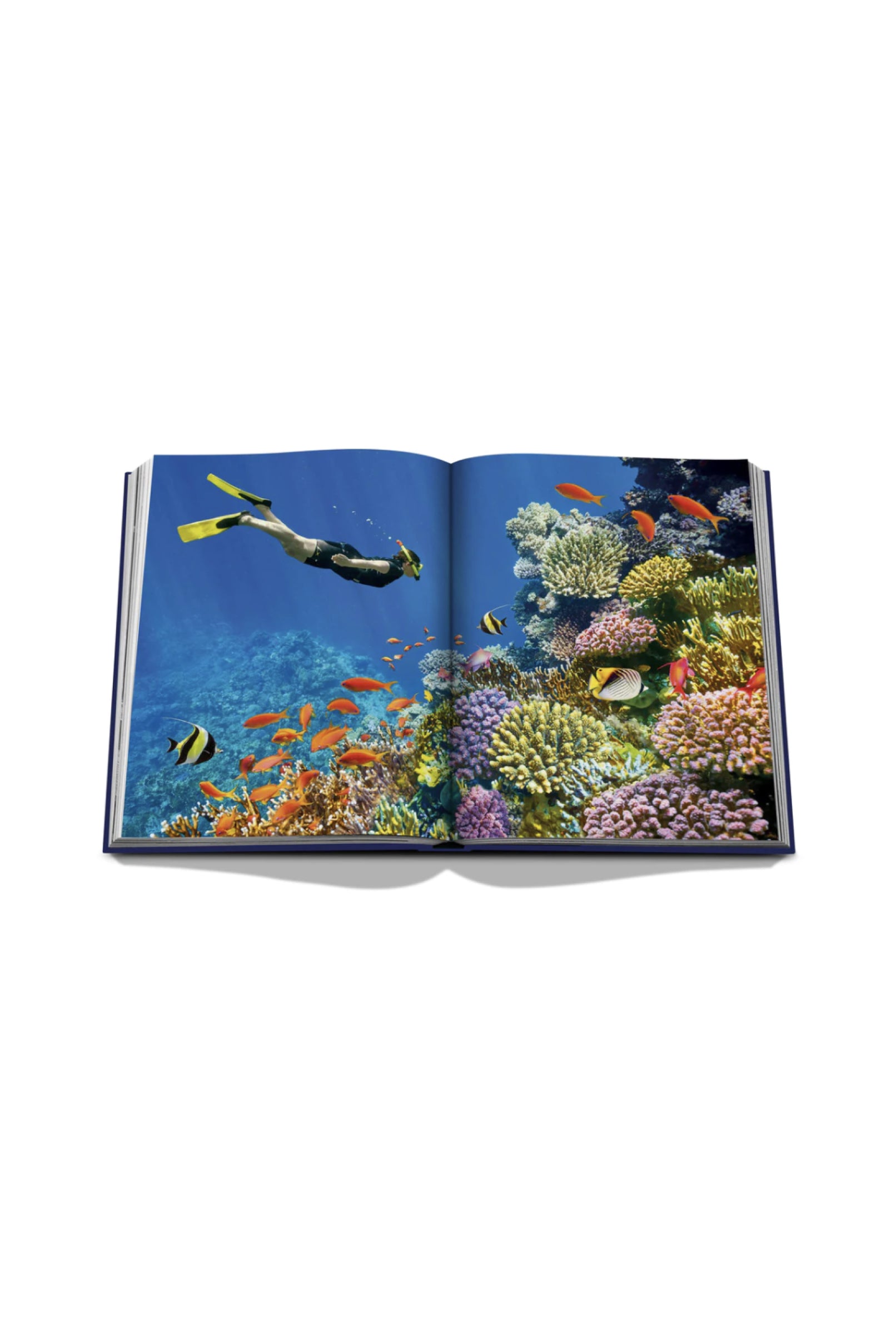 Assouline Ocean Wanderlust hardcover book - Blue