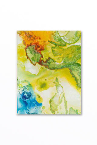 Rainbow Reef 1-24