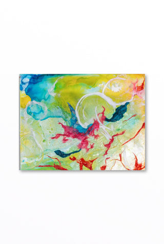 Rainbow Coral Belief 1-6