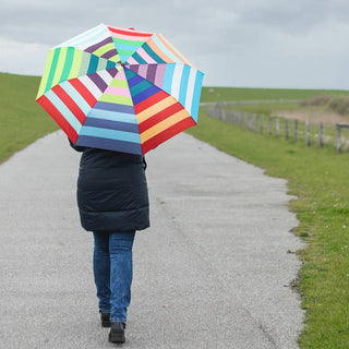 Pocket Umbrella