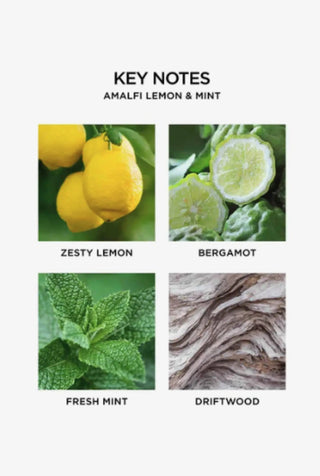Amalfi Lemon & Mint 3-Wick Candle