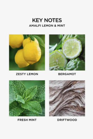 Amalfi Lemon & Mint Reed Diffuser