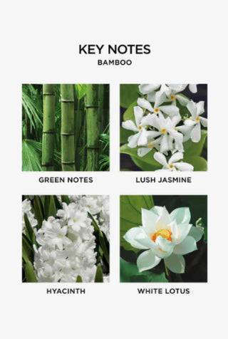 Bamboo Diffuser Gray Malin
