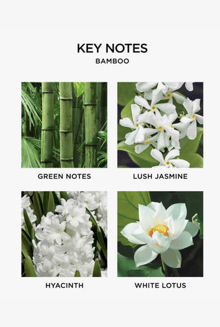 Bamboo Hand Lotion