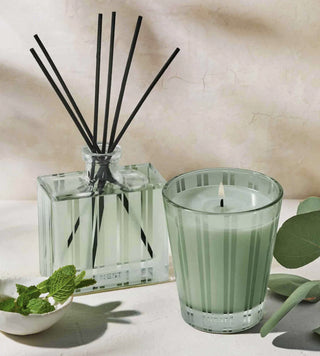 Wild Mint + Eucalyptus Classic Candle - Atelier Modern