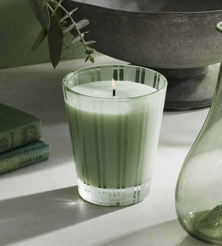 Wild Mint + Eucalyptus Classic Candle - Atelier Modern