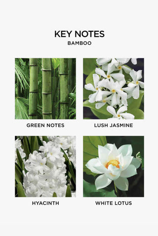 Bamboo Luxury 4 Wick Candle