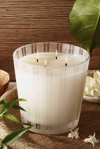 Bamboo Luxury 4 Wick Candle