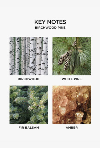 Birchwood Pine Classic Candle