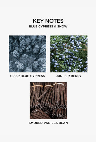 Blue Cypress & Snow 3-Wick Candle